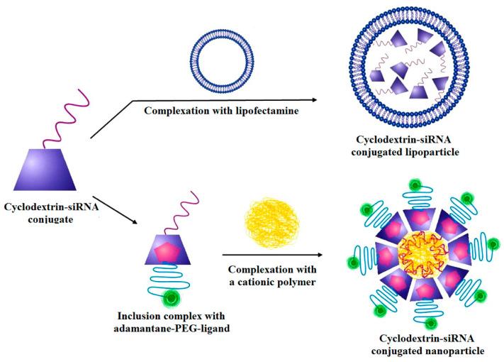 https://cdn.ncbi.nlm.nih.gov/pmc/blobs/c3be/7552721/05153ac2a68c/bioengineering-07-00091-g012.jpg