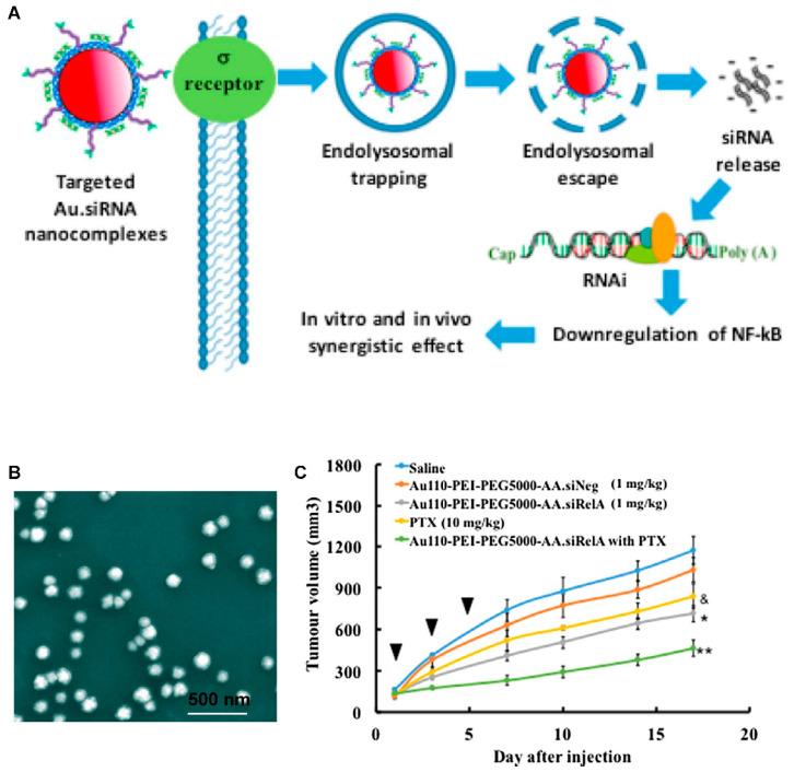 https://cdn.ncbi.nlm.nih.gov/pmc/blobs/c3be/7552721/1b4fe0e8d97b/bioengineering-07-00091-g015.jpg