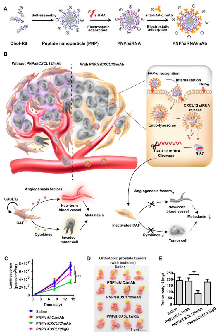 https://cdn.ncbi.nlm.nih.gov/pmc/blobs/c3be/7552721/25c13d7eee5c/bioengineering-07-00091-g010.jpg