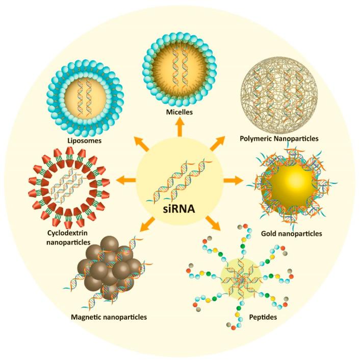 https://cdn.ncbi.nlm.nih.gov/pmc/blobs/c3be/7552721/5cef3d6cebbe/bioengineering-07-00091-g004.jpg