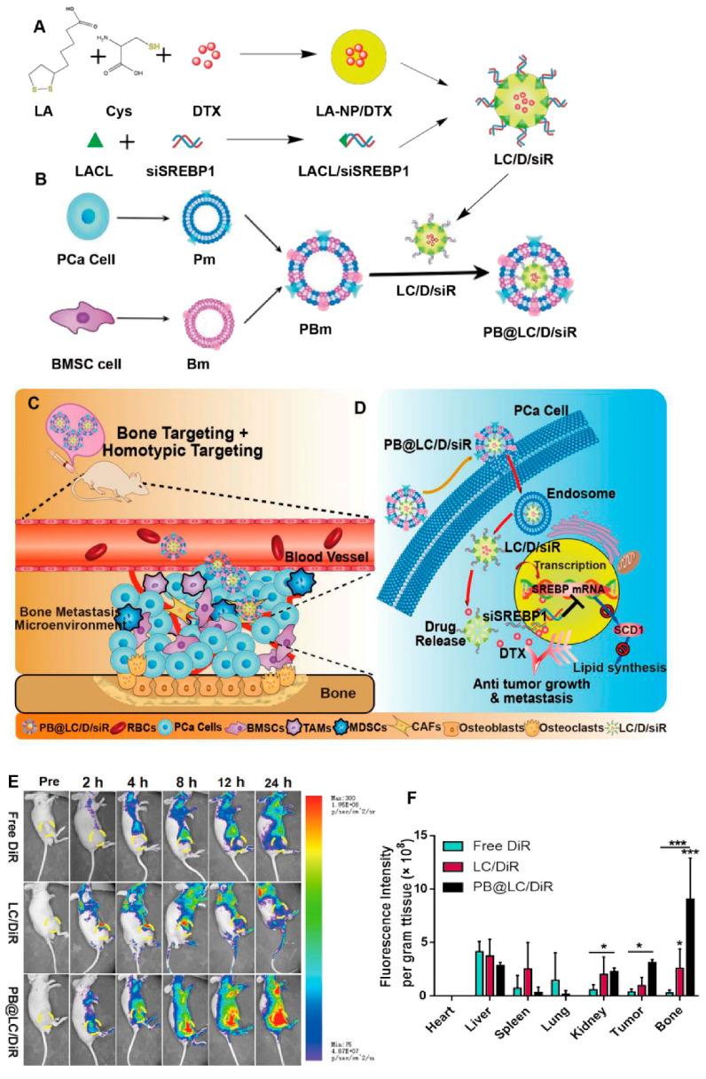https://cdn.ncbi.nlm.nih.gov/pmc/blobs/c3be/7552721/5d6c50e73776/bioengineering-07-00091-g006.jpg