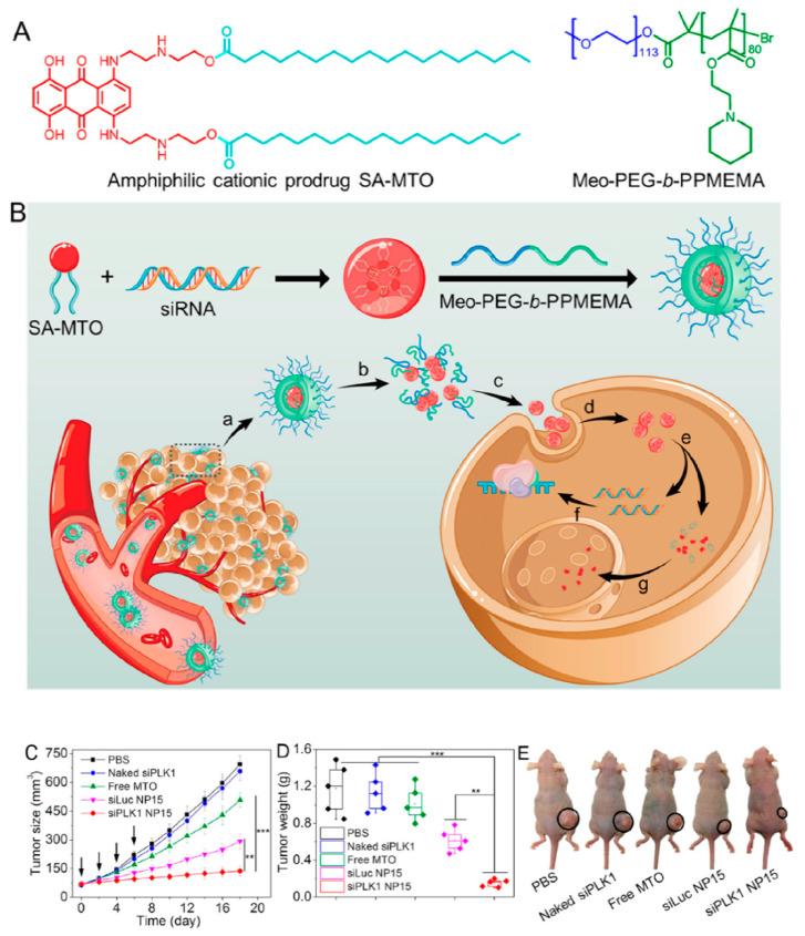 https://cdn.ncbi.nlm.nih.gov/pmc/blobs/c3be/7552721/87126c3adc27/bioengineering-07-00091-g009.jpg