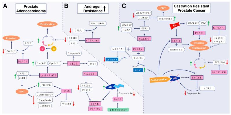 https://cdn.ncbi.nlm.nih.gov/pmc/blobs/c3be/7552721/88bf2d0ead99/bioengineering-07-00091-g002.jpg