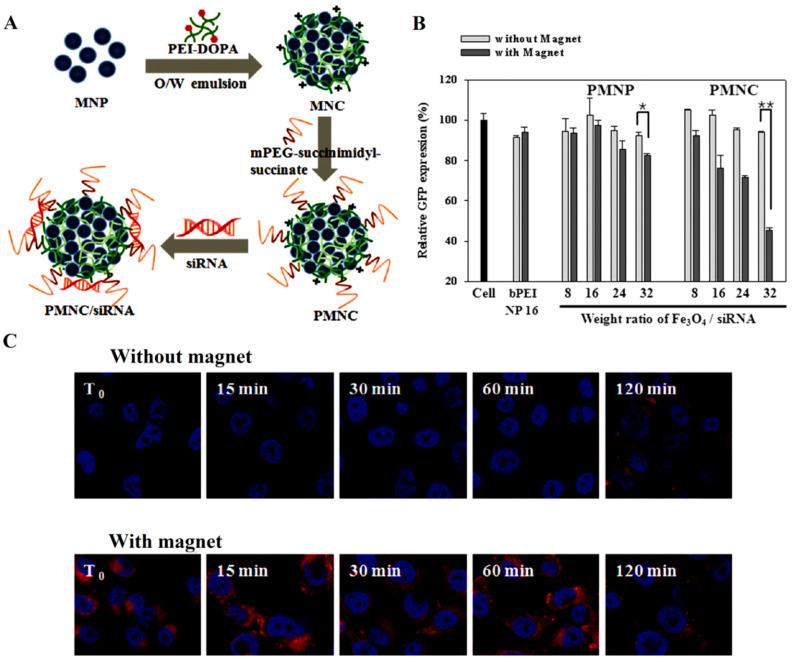 https://cdn.ncbi.nlm.nih.gov/pmc/blobs/c3be/7552721/ae07e7bea2ca/bioengineering-07-00091-g014.jpg