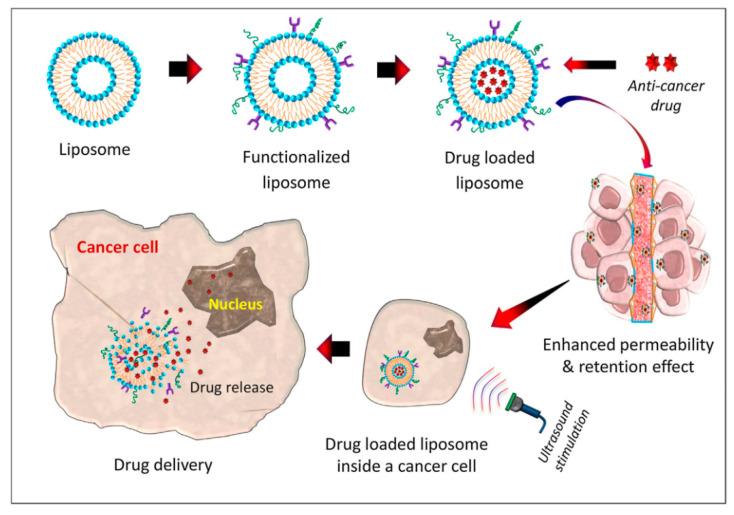 https://cdn.ncbi.nlm.nih.gov/pmc/blobs/c3be/7552721/cfed77d28890/bioengineering-07-00091-g007.jpg