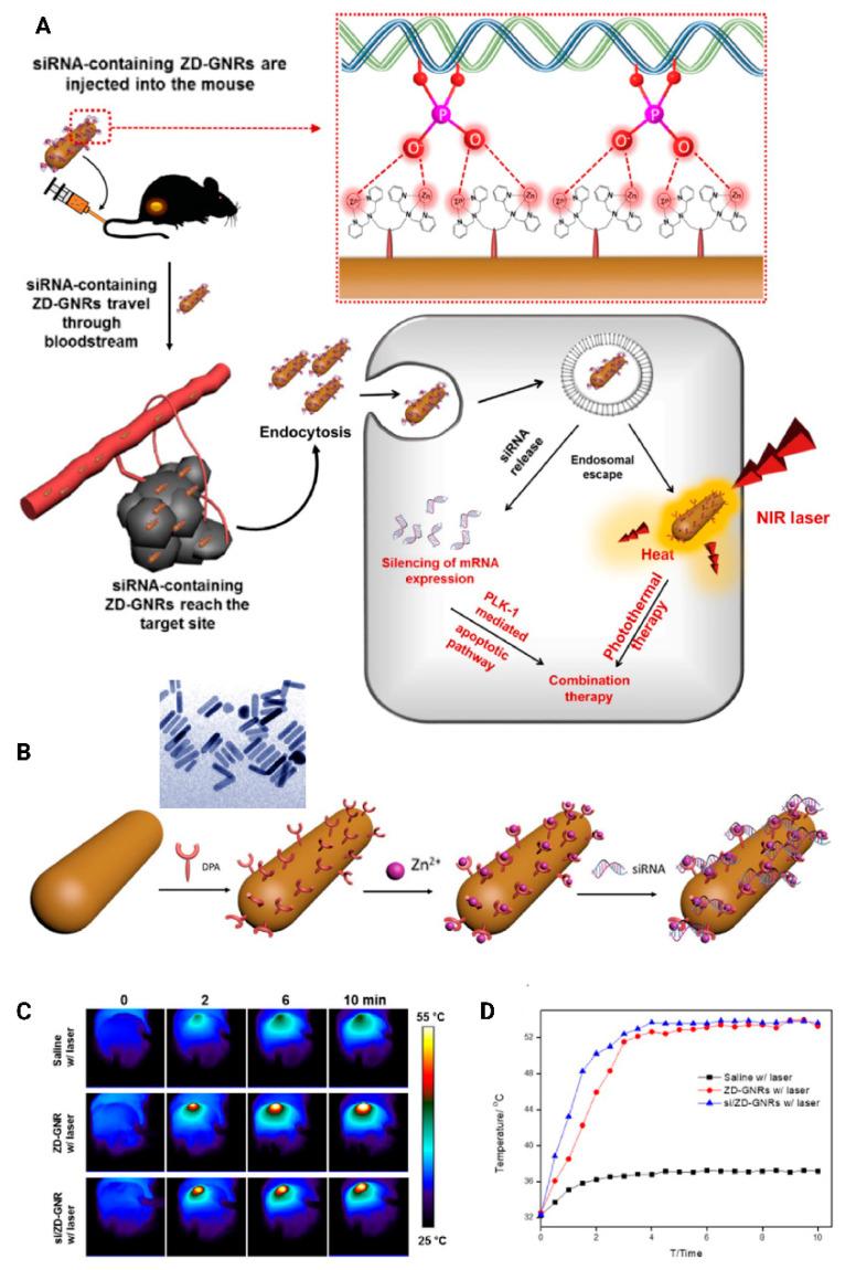 https://cdn.ncbi.nlm.nih.gov/pmc/blobs/c3be/7552721/fba28eb84c39/bioengineering-07-00091-g016.jpg