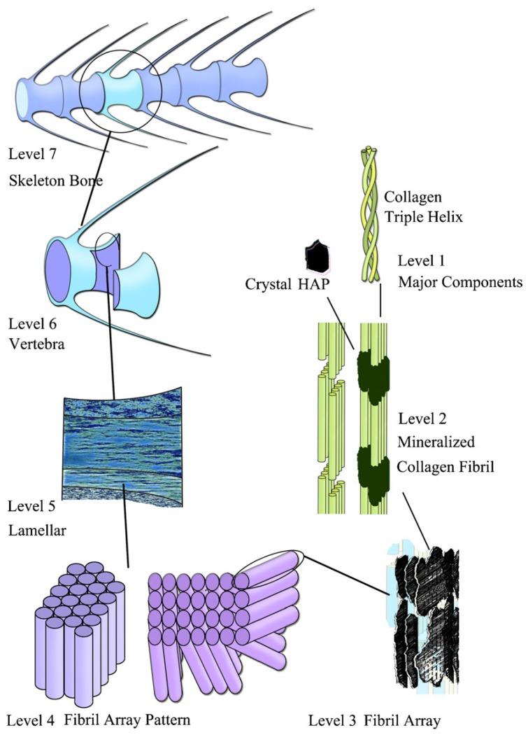 https://cdn.ncbi.nlm.nih.gov/pmc/blobs/c3c0/5455477/19f0ac94b2c7/materials-08-04733-g001.jpg