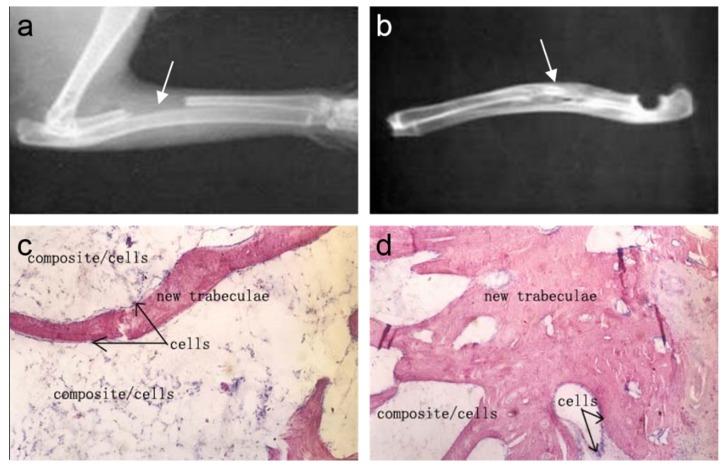 https://cdn.ncbi.nlm.nih.gov/pmc/blobs/c3c0/5455477/33f40ba11bf3/materials-08-04733-g004.jpg