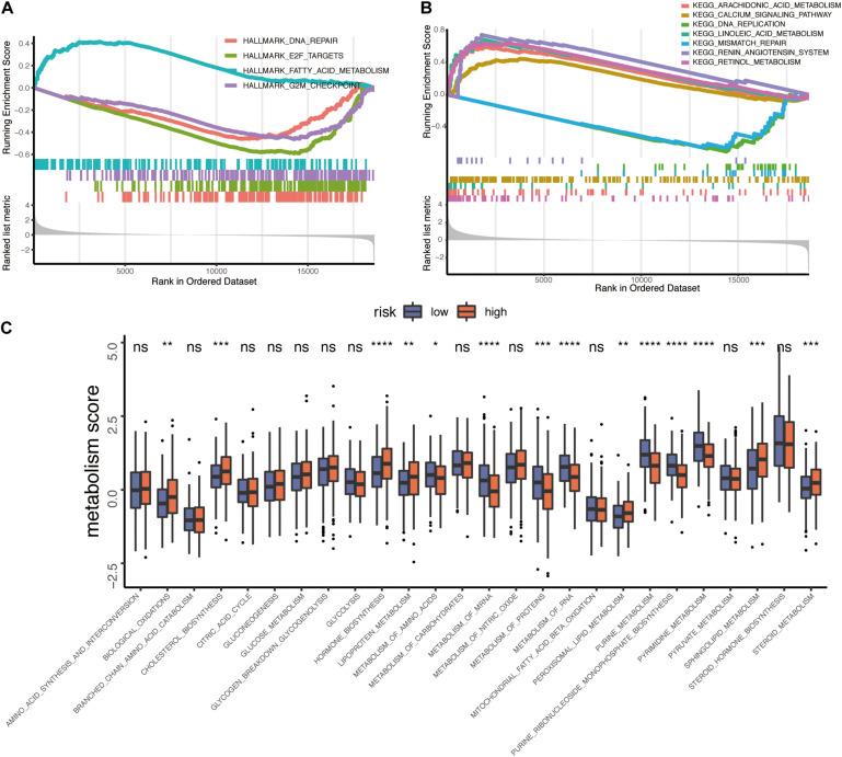 https://cdn.ncbi.nlm.nih.gov/pmc/blobs/c3c2/8062980/adfc6a83921d/fgene-12-630794-g002.jpg