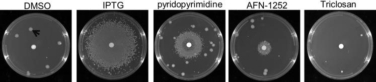 https://cdn.ncbi.nlm.nih.gov/pmc/blobs/c3c3/5837183/dbea3ccfa1f0/pone.0193851.g002.jpg