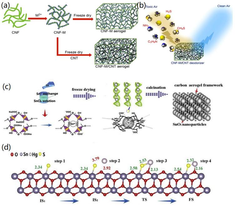 https://cdn.ncbi.nlm.nih.gov/pmc/blobs/c3c3/9504413/3c47d43c609d/nanomaterials-12-03172-g009.jpg
