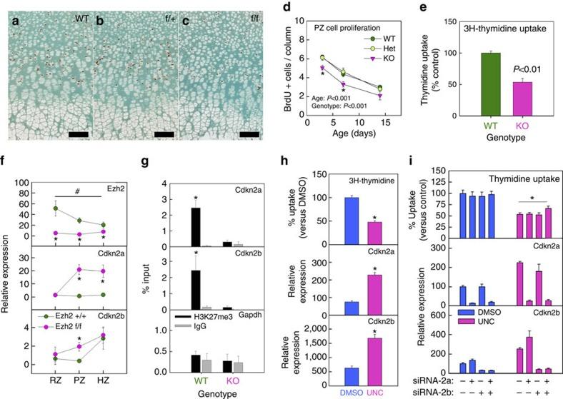 https://cdn.ncbi.nlm.nih.gov/pmc/blobs/c3c4/5477487/790975440f17/ncomms13685-f3.jpg