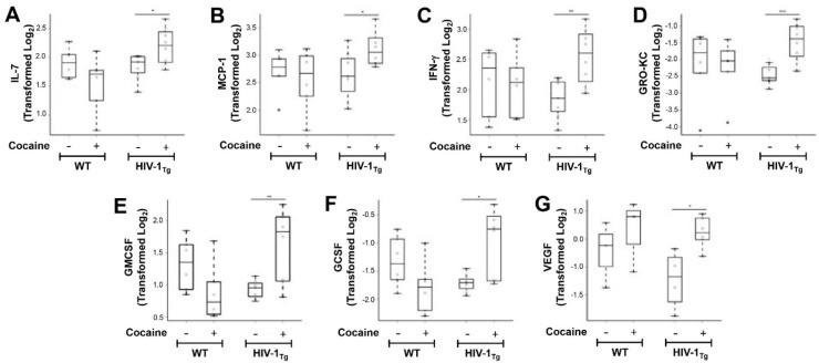 https://cdn.ncbi.nlm.nih.gov/pmc/blobs/c3c5/9368446/3833b020b7a2/cells-11-02405-g002.jpg