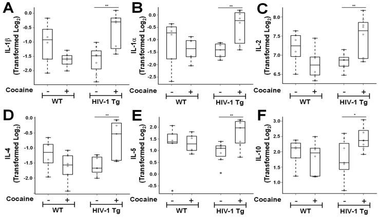 https://cdn.ncbi.nlm.nih.gov/pmc/blobs/c3c5/9368446/a60ae52175f1/cells-11-02405-g001.jpg