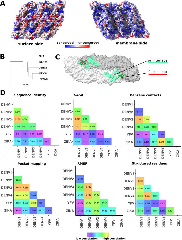 https://cdn.ncbi.nlm.nih.gov/pmc/blobs/c3c8/10162804/8b916513c576/elife-82447-fig3-figsupp1.jpg