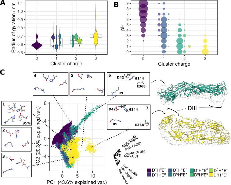 https://cdn.ncbi.nlm.nih.gov/pmc/blobs/c3c8/10162804/f78d92ecef91/elife-82447-fig6.jpg