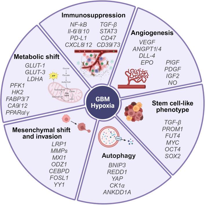 https://cdn.ncbi.nlm.nih.gov/pmc/blobs/c3c9/11603919/0b0a4bb9193d/12915_2024_2075_Fig1_HTML.jpg