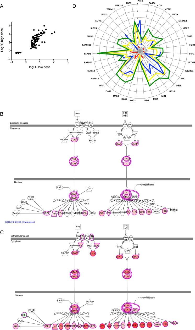 https://cdn.ncbi.nlm.nih.gov/pmc/blobs/c3c9/5443534/13544345cc9c/pntd.0005527.g004.jpg