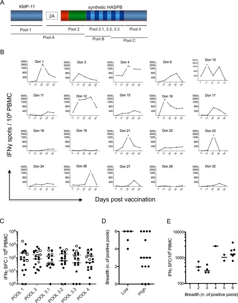 https://cdn.ncbi.nlm.nih.gov/pmc/blobs/c3c9/5443534/83708b49364f/pntd.0005527.g005.jpg