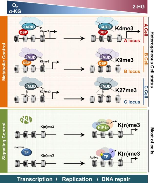 https://cdn.ncbi.nlm.nih.gov/pmc/blobs/c3cb/6586683/00934764f386/12276_2019_230_Fig2_HTML.jpg