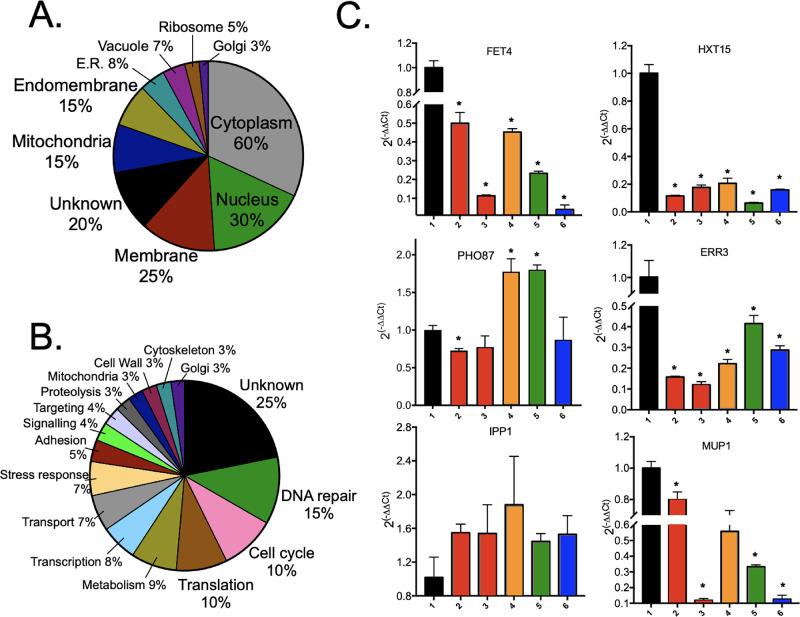 https://cdn.ncbi.nlm.nih.gov/pmc/blobs/c3d2/9683101/5bd449731c55/tx2c00222_0006.jpg