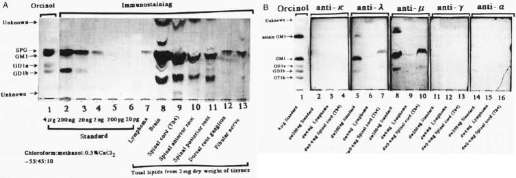 https://cdn.ncbi.nlm.nih.gov/pmc/blobs/c3d3/10984354/16671ac34053/2188-2126-69-4-0293-g004.jpg