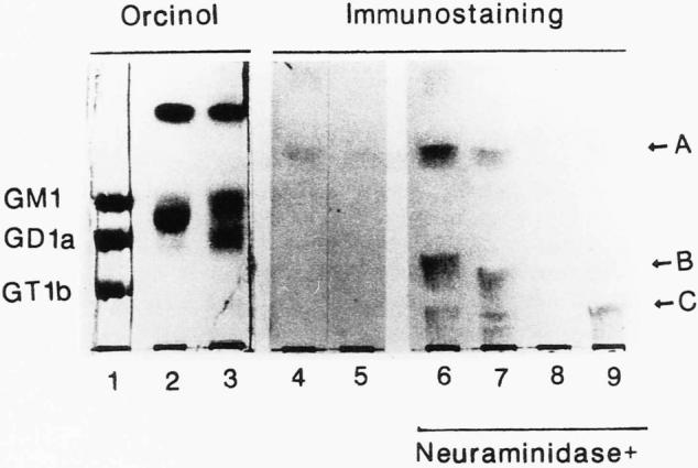 https://cdn.ncbi.nlm.nih.gov/pmc/blobs/c3d3/10984354/5ff50421c67c/2188-2126-69-4-0293-g001.jpg