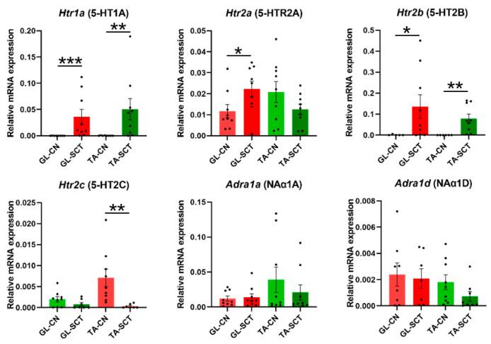 https://cdn.ncbi.nlm.nih.gov/pmc/blobs/c3d3/9569670/d4afdde7b77c/ijms-23-11133-g006.jpg