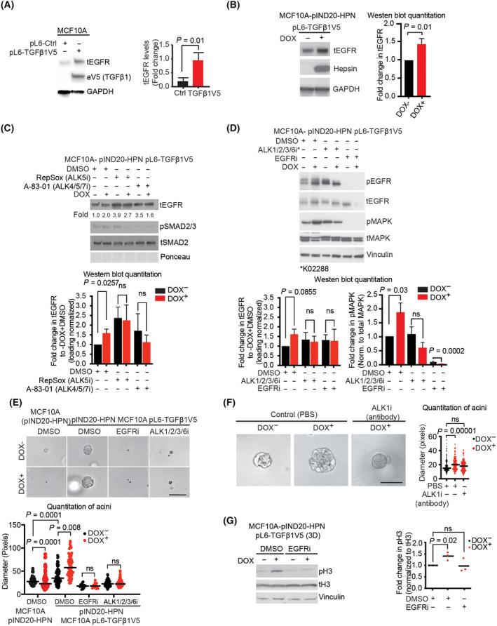 https://cdn.ncbi.nlm.nih.gov/pmc/blobs/c3d5/10920082/1e7f65caf5f3/MOL2-18-547-g004.jpg