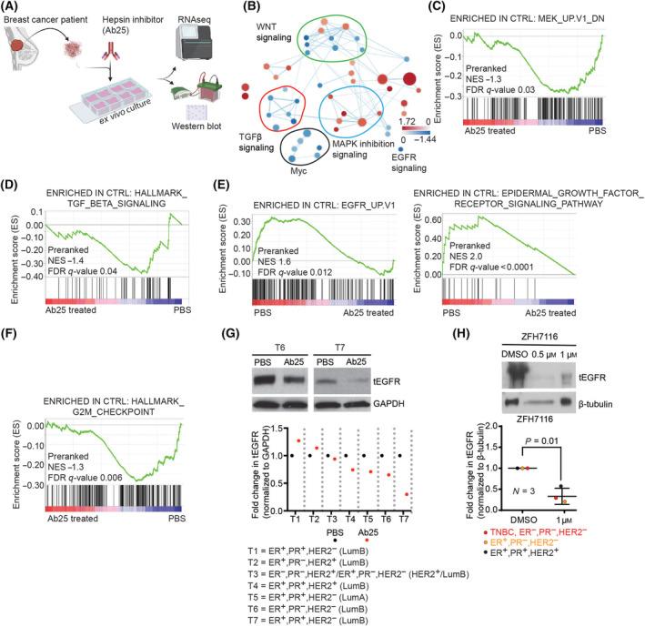 https://cdn.ncbi.nlm.nih.gov/pmc/blobs/c3d5/10920082/4576f3f5fde4/MOL2-18-547-g002.jpg