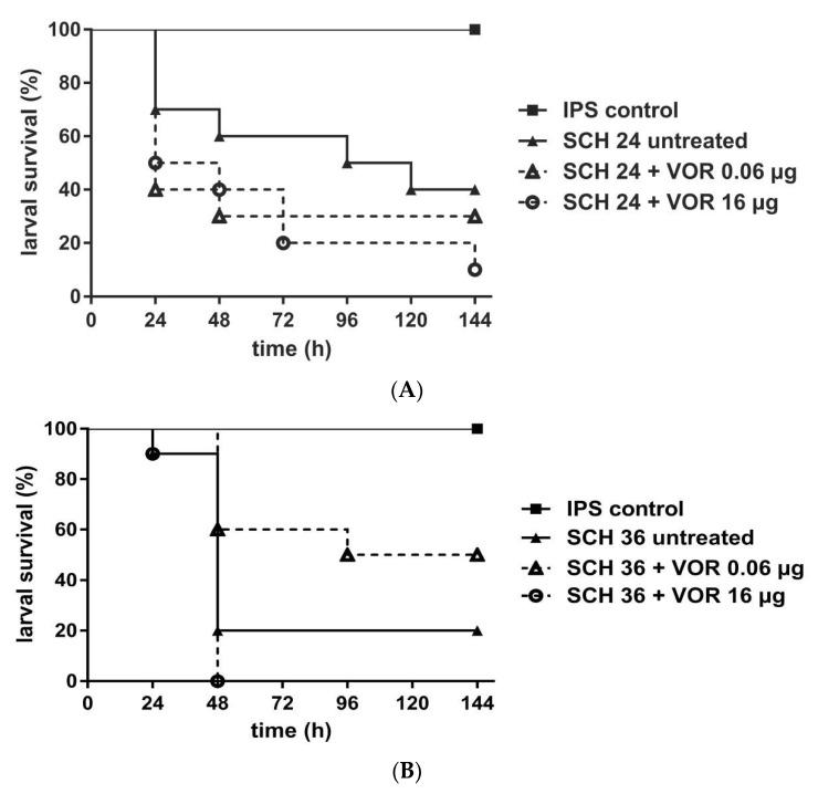 https://cdn.ncbi.nlm.nih.gov/pmc/blobs/c3d5/6787722/1c840ae03f5b/jof-05-00083-g002a.jpg
