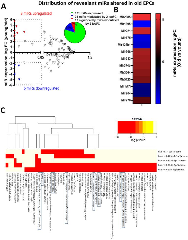 https://cdn.ncbi.nlm.nih.gov/pmc/blobs/c3d6/11726740/1ed11c164273/biomedicines-12-02669-g005.jpg