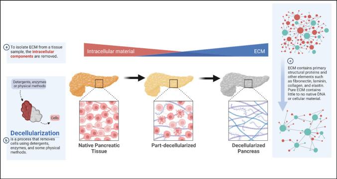 https://cdn.ncbi.nlm.nih.gov/pmc/blobs/c3d8/12055624/aad01932b3aa/40472_2025_470_Fig1_HTML.jpg
