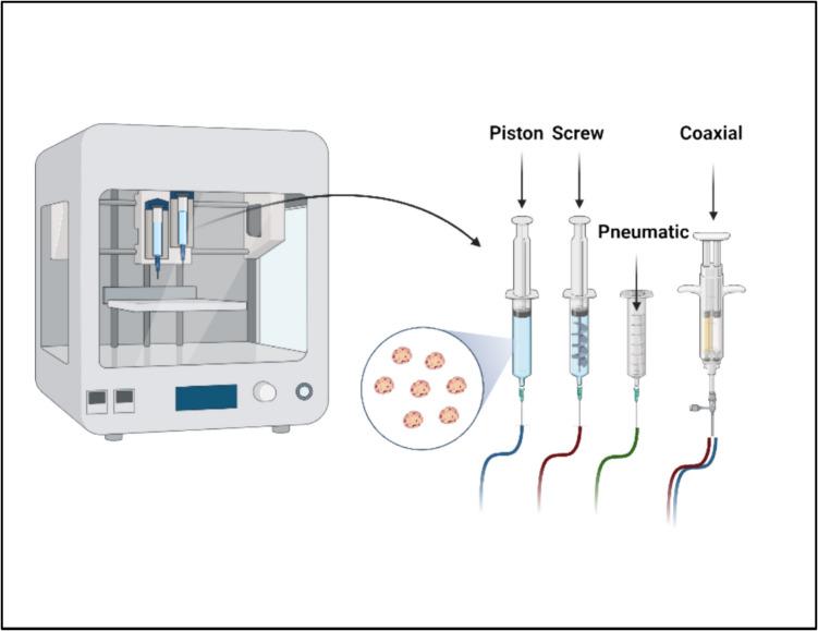 https://cdn.ncbi.nlm.nih.gov/pmc/blobs/c3d8/12055624/ef4034b738c7/40472_2025_470_Fig2_HTML.jpg