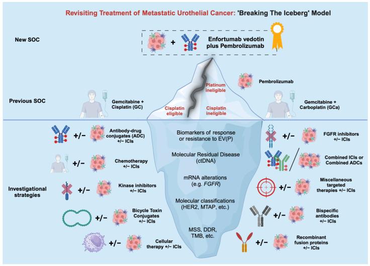 https://cdn.ncbi.nlm.nih.gov/pmc/blobs/c3e1/10968461/cad8e29dafff/biomedicines-12-00519-g002.jpg