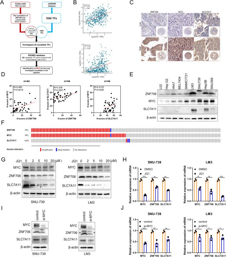https://cdn.ncbi.nlm.nih.gov/pmc/blobs/c3e1/11445280/04c939822f9b/41418_2024_1324_Fig6_HTML.jpg