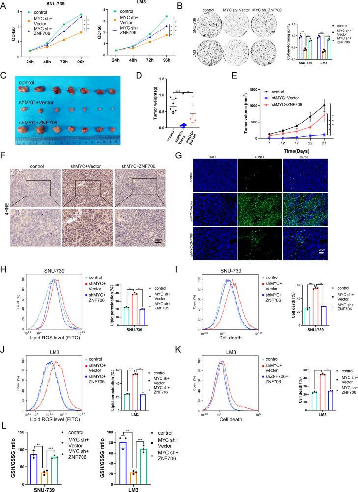 https://cdn.ncbi.nlm.nih.gov/pmc/blobs/c3e1/11445280/31aced677fb2/41418_2024_1324_Fig8_HTML.jpg