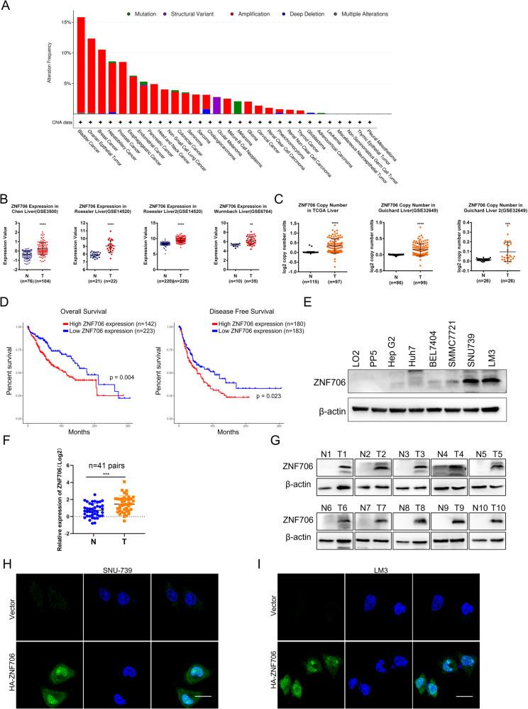 https://cdn.ncbi.nlm.nih.gov/pmc/blobs/c3e1/11445280/bef633e38491/41418_2024_1324_Fig1_HTML.jpg