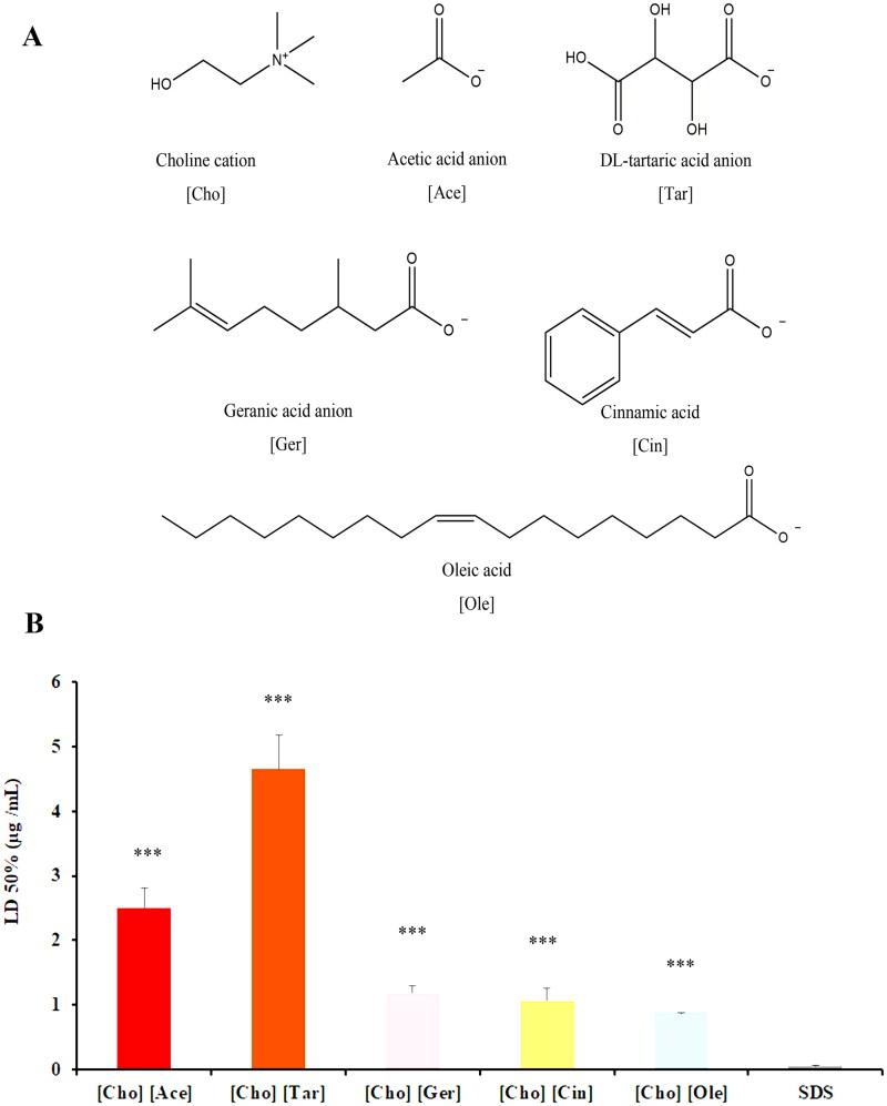 https://cdn.ncbi.nlm.nih.gov/pmc/blobs/c3e2/12013143/33c5060458d5/IDRD_A_2489730_F0001_C.jpg