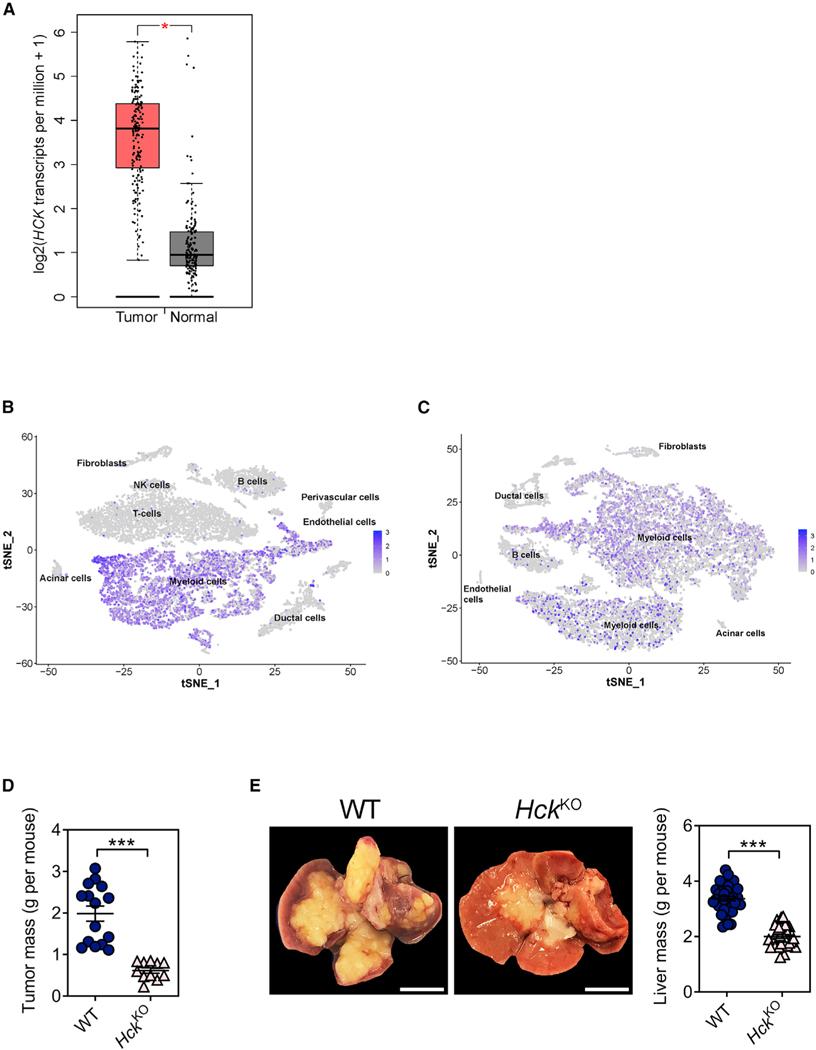 https://cdn.ncbi.nlm.nih.gov/pmc/blobs/c3e3/11299506/579f95acedd9/nihms-2005556-f0001.jpg