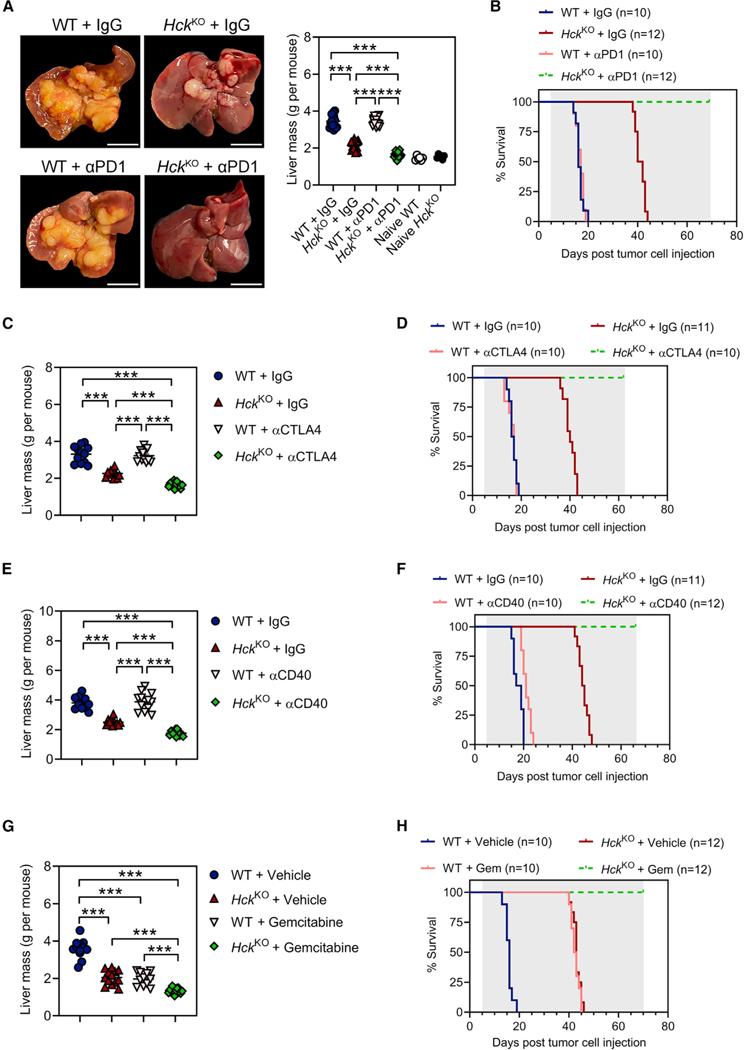 https://cdn.ncbi.nlm.nih.gov/pmc/blobs/c3e3/11299506/88664cf44ba3/nihms-2005556-f0004.jpg