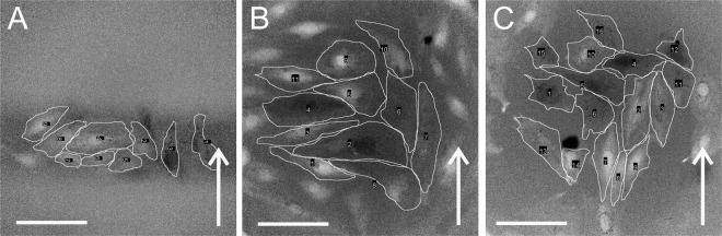 https://cdn.ncbi.nlm.nih.gov/pmc/blobs/c3e5/7272635/0f0c0182eb2b/41598_2020_65830_Fig1_HTML.jpg