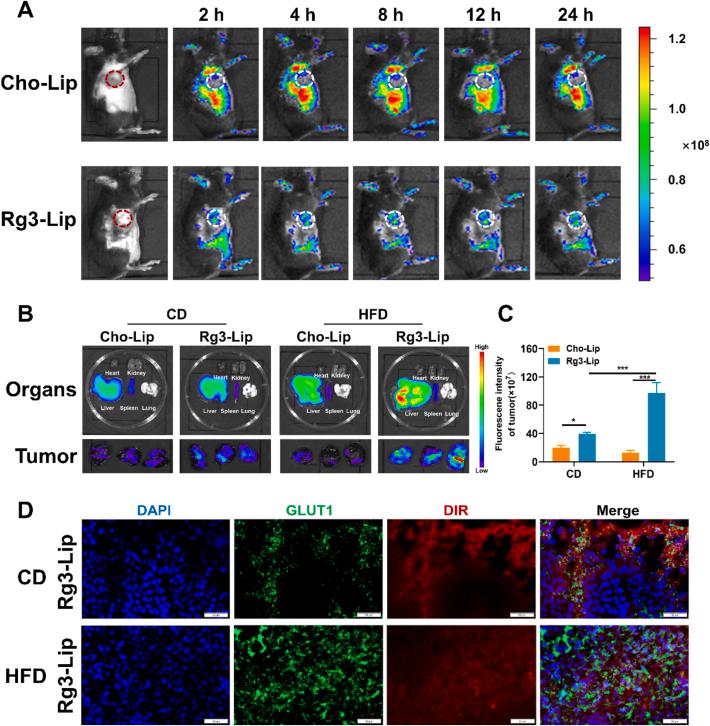 https://cdn.ncbi.nlm.nih.gov/pmc/blobs/c3e6/12145075/46ddc5fa077b/gr4.jpg