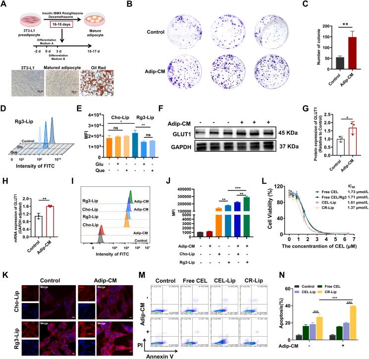 https://cdn.ncbi.nlm.nih.gov/pmc/blobs/c3e6/12145075/9da30bc7b5e0/gr2.jpg