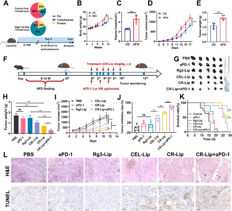 https://cdn.ncbi.nlm.nih.gov/pmc/blobs/c3e6/12145075/b3dea59ccc32/gr5.jpg