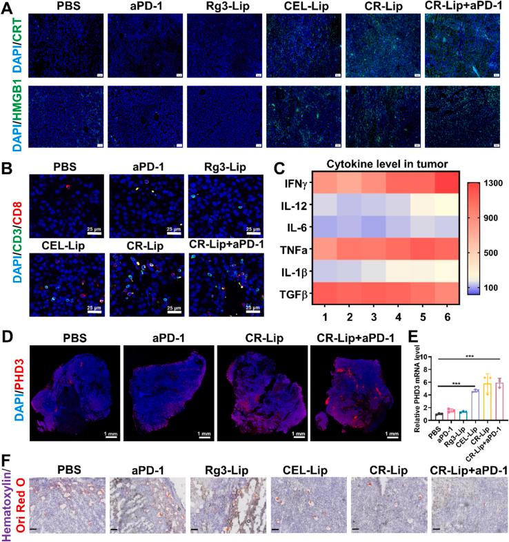 https://cdn.ncbi.nlm.nih.gov/pmc/blobs/c3e6/12145075/cfabc5df4d11/gr7.jpg