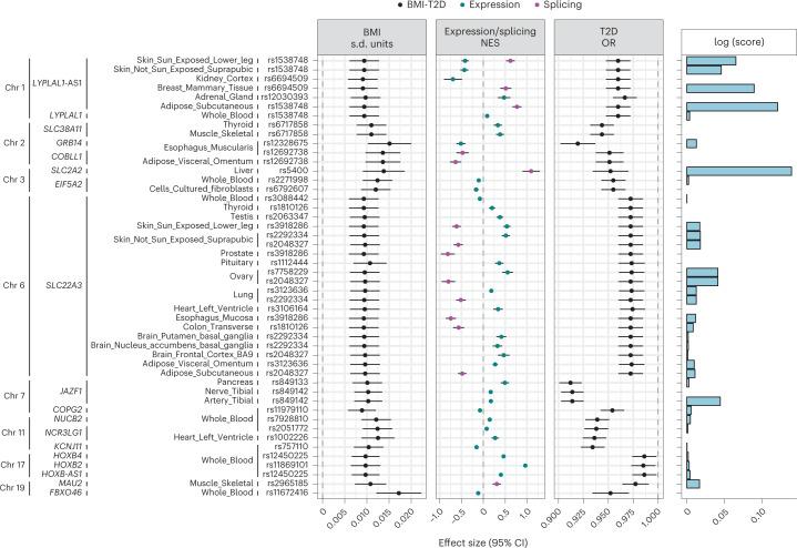 https://cdn.ncbi.nlm.nih.gov/pmc/blobs/c3e6/9970876/13b2d56c9573/42255_2022_731_Fig4_HTML.jpg