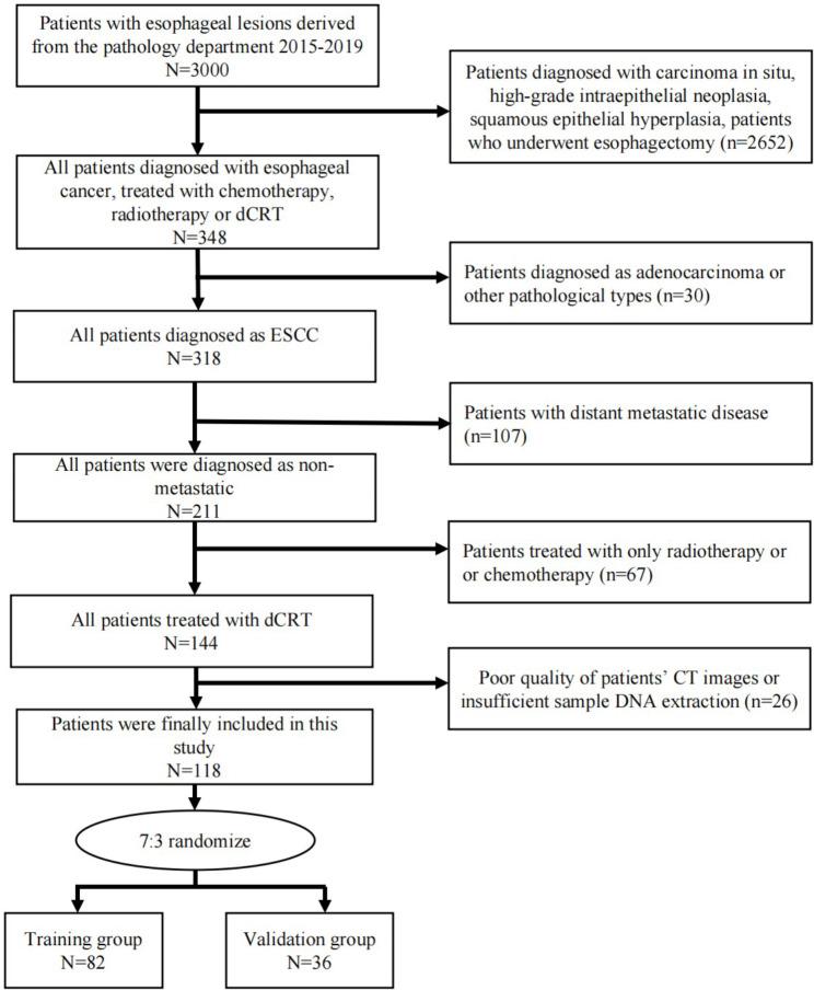 https://cdn.ncbi.nlm.nih.gov/pmc/blobs/c3e8/10127317/15ab32dfef8e/40364_2023_480_Fig1_HTML.jpg