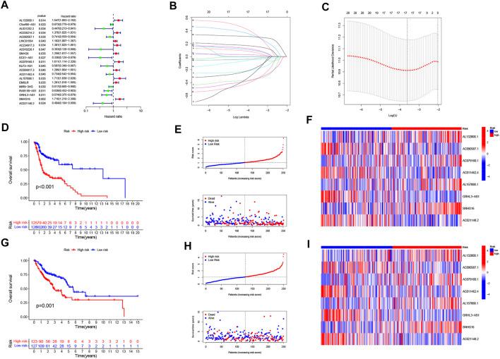 https://cdn.ncbi.nlm.nih.gov/pmc/blobs/c3e9/9354258/164734a3c861/fgene-13-947551-g002.jpg