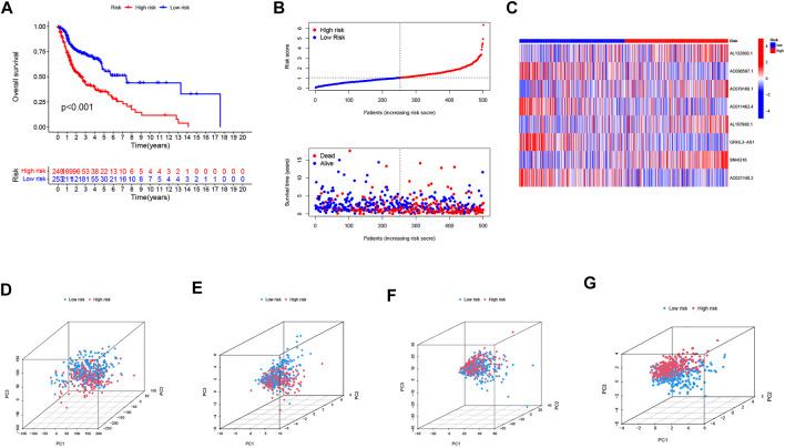 https://cdn.ncbi.nlm.nih.gov/pmc/blobs/c3e9/9354258/1f63ac822a50/fgene-13-947551-g003.jpg
